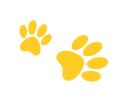 Paw image