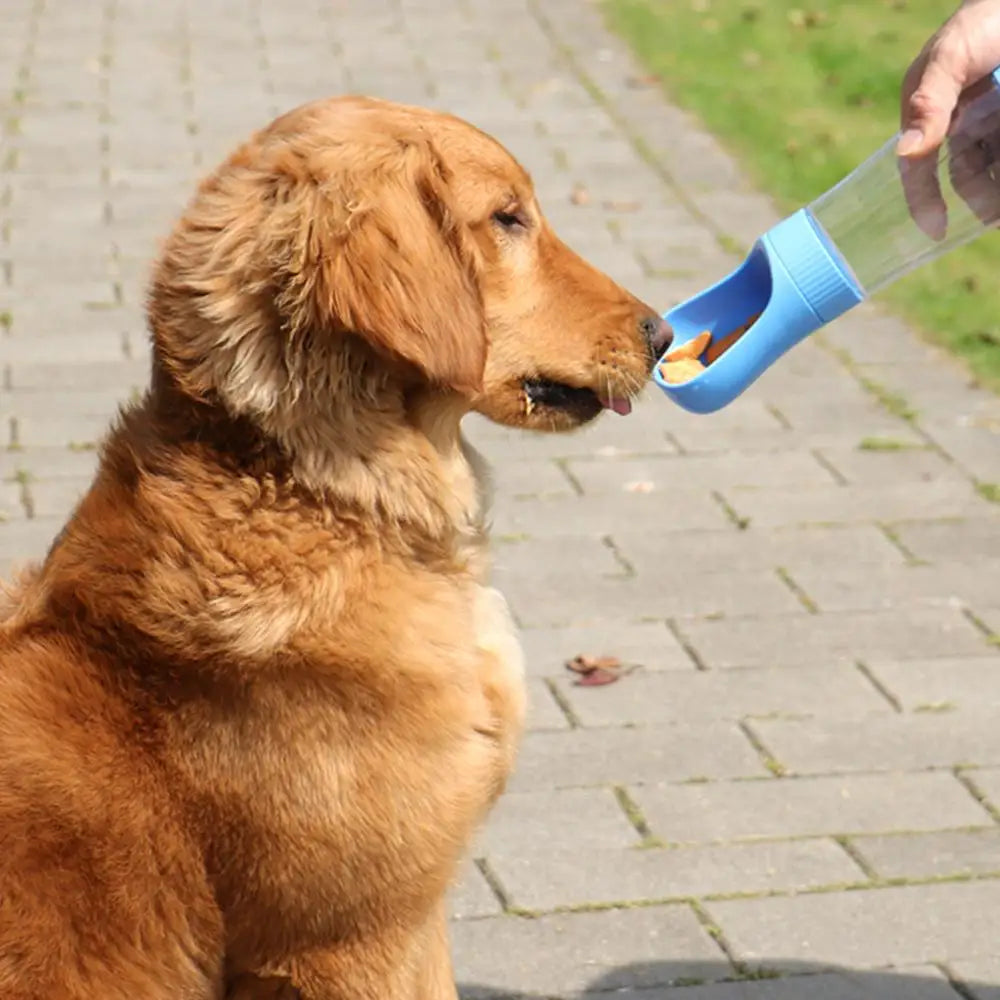 Portable Dog Water Bottle With Food Container Travel 2 in 1 Pet Water Dispenser For Small Large Dogs Cat Labrador Drinking Bowls