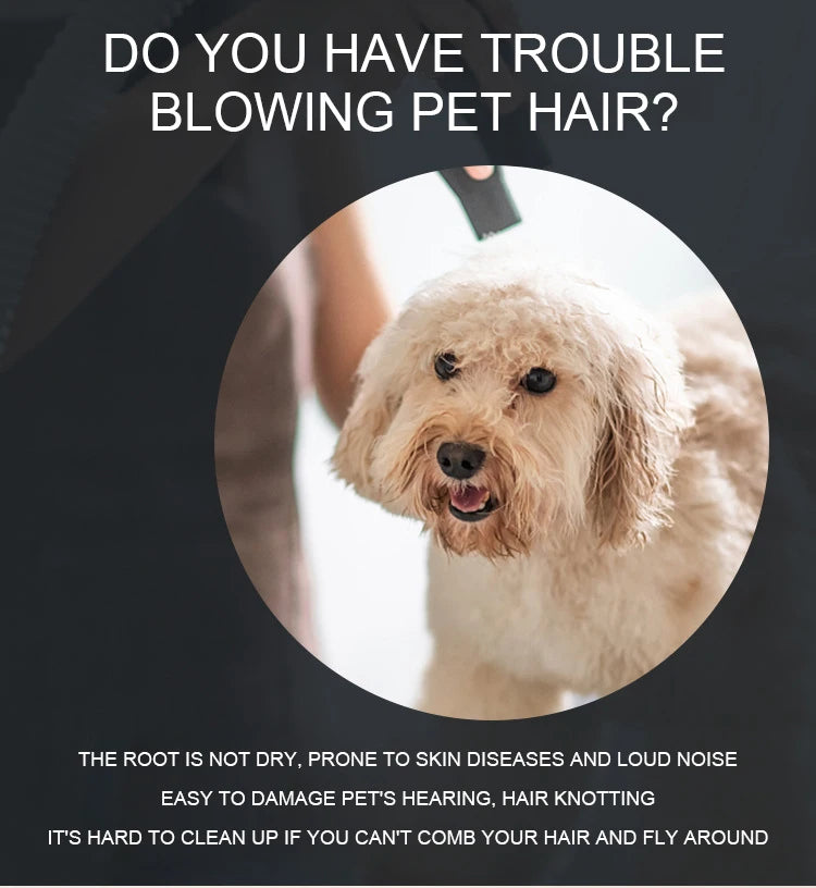 Multi-functional Dog Grooming Hair Comb Dryer 2-In-1 Electric Fur Blower Cleaning Brusher 3 Gears Adjustable Pet Product EU Plug