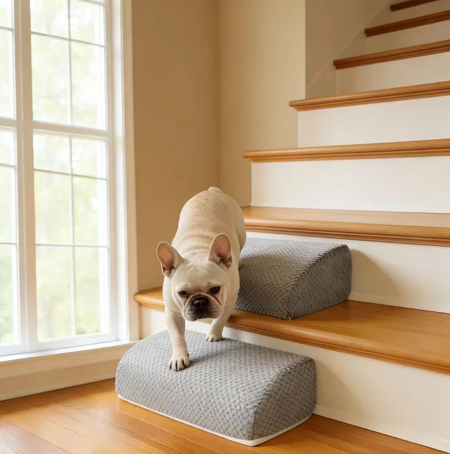Pet 2/3 Steps High Density Foam Dog Secure Stairs Ramps Non-Slip Pet Steps for Older Dogs Pet with Joint Pain Sofa Bed Ladder