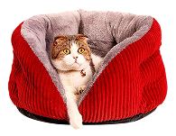 Pet Bedding & Houses